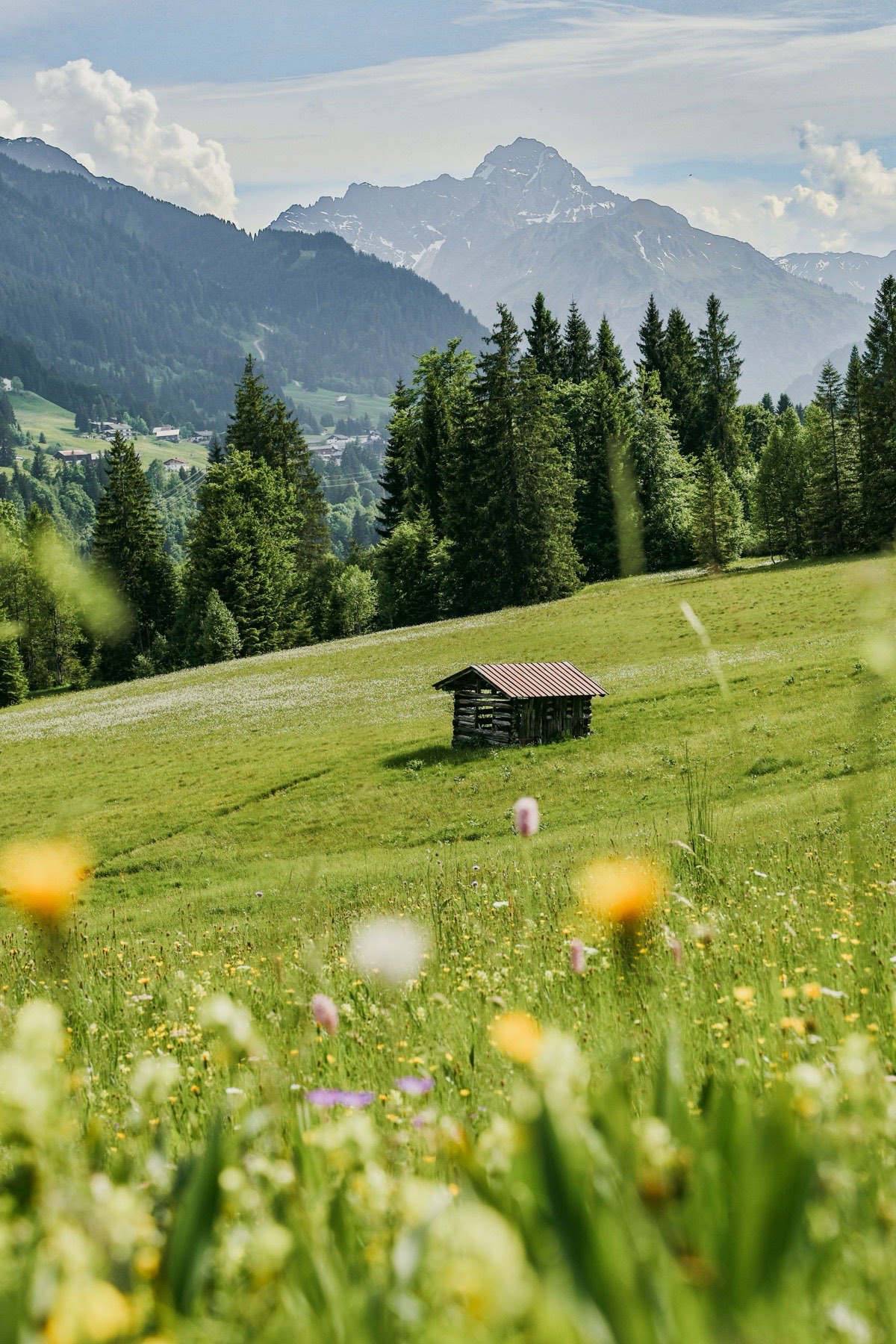 Heustadel auf einer blühenden Bergwiese, im Hintergrund die Alpen